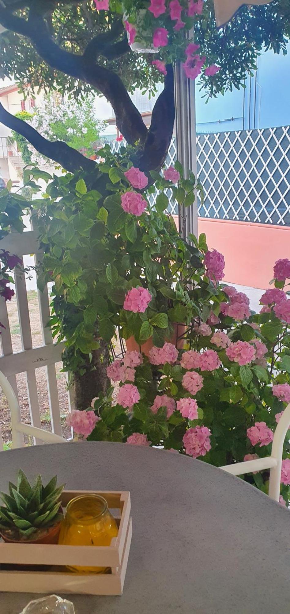 Hotel Eleonora Rimini Dış mekan fotoğraf